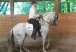 Lezione di postura a cavallo AFEI