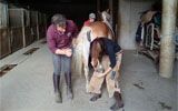Maniscalco insegna a mettere i ferri al cavallo